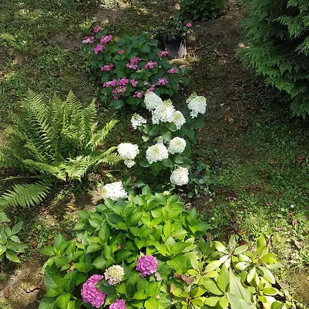 Pensionat Levendulas Vendeghaz