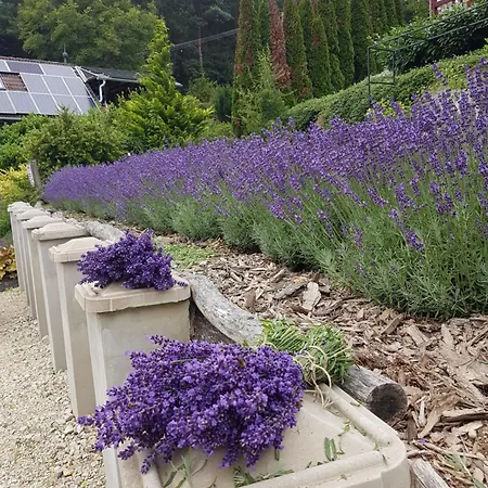 Pensionat Levendulas Vendeghaz