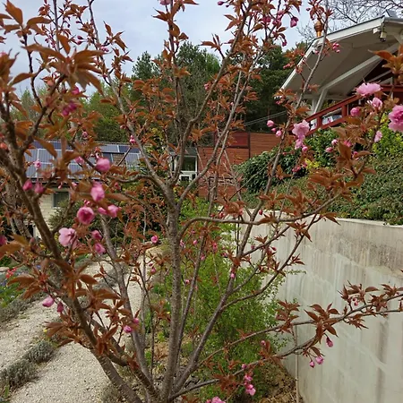 Levendulas Vendeghaz 3*