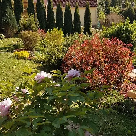 Levendulas Vendeghaz Pensionat